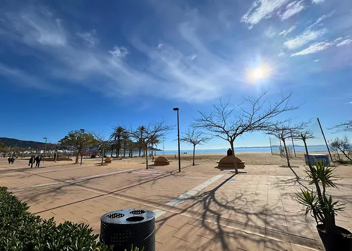 Oasis C3 *